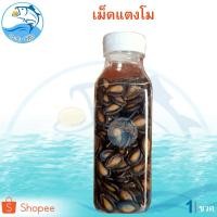 ราคา เม็ดแตงโม 100กรัม 1ขวด เมล็ดแตงโม เม็ดแตงโมอบ เมล็ดแตงโมอบ เม็ดแตงโมแห้ง เมล็ดแตงโมอบแห้ง เมล็ดแห้ง (8416452418)