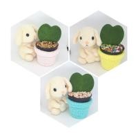 ราคา Hoya kerrii หรือโฮย่าใบหัวใจ หรือ หัวใจทศกัณฑ์ (2531152170)