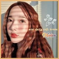 ราคา ⚡Montralens⚡Mini Daily Soft Brownมนตราเลนส์คอนแทคเลนส์miniคอนแทคเลนส์สายตาคอนแทคเลนส์กรองแสงแถมฟรีตลับทุกคู่ (11800547795)