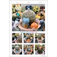 ราคา โมเดลตุ๊กตาแมวเกาะกระถางแมวจิ๋วแต่งสวนสุดน่ารักset 6 ตัว (18713118926)