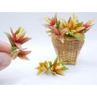 ราคา ต้นสับปะรดสีจิ๋ว (ราคา/ชิ้น) Bromeliad บรอมีเลียด ต้นสับปะรดสี สับปะรด สับปะรดดินปั้น ของจิ๋ว ของตกแต่ง (28253209373)