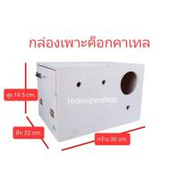 ราคา กล่องเพาะนก(กล่องค็อกคาเทล)รังเพาะนก กล่องนอน บ้านนก หงส์หยก เลิฟเบิร์ด ค็อกคาเทล ฟอพัส ราคาโรงงาน (8833715259)