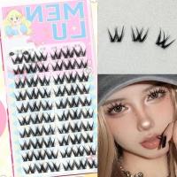 ราคา ขนตาปลอม รูปตัว W 10 แถว ขนาดใหญ่ จุของได้เยอะ 60 คลัสเตอร์ สําหรับตุ๊กตาบาร์บี้ (25223271934)