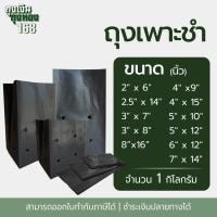 ราคา ถุงเพาะชำ สีดำ เจาะรู ขนาด 2x6, 2.5x14, 3x7, 3x8, 8x16, 4x9, 4x15, 5x10, 5x12, 6x12, 7x14 นิ้ว จำนวน 1 กิโลกรัม/แพ็ค (29810061406)
