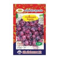 ราคา เมล็ดกระเจี๊ยบแดง MT/OP-040 ตราภูเขาทอง Roselle เมล็ดพันธุ์ กระเจี๊ยบแดง เมล็ดผักสวนครัว พันธุ์ผัก (23855821588)