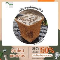 ราคา ถ้วยพร้อมปลูกออร์แกนิค จากใยมะพร้าว ถ้วยปลูกรักโลก ขนาด 9x9x10 ซม. (10935162026)