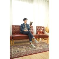 ราคา โซฟายาวสำหรับ 2 ที่นั่ง + เก้าอี้เดี่ยวสำหรับ 1 ที่นั่ง (ซื้อเป็นคู่) โซฟาสไตล์วินเทจ (6017986326)