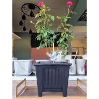 ราคา กระถางต้นไม้สี่เหลี่ยม 12 นิ้ว ขาสูง (19587990188)