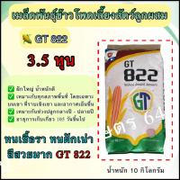 ราคา เมล็ดพันธุ์ข้าวโพดเลี้ยงสัตว์ GT822 เม็ด 3.5 หุน 10 กิโลกรัม เหมาะกับทุกพื้นที่ ฝักใหญ่ น้ำหนักดี สีสวย ทนโรค ทนแล้ง (22186546600)
