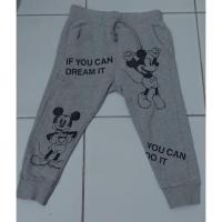 ราคา กางเกงจ็อกเกอร์ ZARA GIRLS ที่ร่วมแบรนด์ 2 (23715108049)