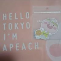 ราคา Clearance Sale New Kakao Friends Apeach Sticker (4108024315)