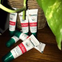 ราคา Lip Balm Himalaya 10g (1688549320)