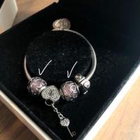 ราคา Pandora heart charms (6718404245)