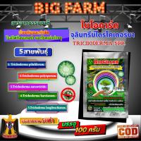 ราคา ไบโอการ์ด BIOGUARD ไตรโคเดอร์ม่า Trichoderma spp. 5 สายพันธุ์ ขนาด 100 ก. / 1 ซอง (24762773545)