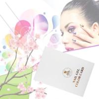 ราคา สมุดชาร์จสี ชาร์จโชว์สีเล็บ 216/308เบอร์ (2844083837)