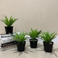 ราคา ต้นไม้ปลอมมือสอง กระถางต้นไม้ ikea (23245130982)