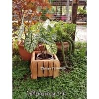 ราคา กระถางต้นไม้ ไม้สักแท้ พร้อมส่ง!!! (29101540400)