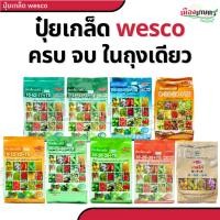 ราคา ปุ๋ย ปุ๋ยเกล็ด เวสโก้ ปุ๋ย เกล็ด 6 32 32 20 20 20 21 21 21 20 10 30 TE ขนาด 1 กิโลกรัม ฮอร์โมนพืช เสริมการเจริญเติบโต (26952421426)