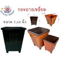 ราคา กระถางพลาสติก 7,10 นิ้ว สี่เหลี่ยมทรงสูง กระถางทรงโรมัน กระถางต้นไม้ กระถาง มีรู กระถางเหลี่ยมทรงโรมันมีขายกสูง มี 3 สี (29151281135)