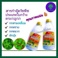 ราคา ฆ่าหญ้า ยาหมาแดง ยาหมาแดงน้ำ 2,4d 84% SL1ลิตรกำจัดวัชพืชใบกว้างและวัชพืชตระกูลกก ผักปอดนา เทียนนา สาบม่วง ผักบุ้ง กกขนาก (9115650253)