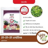 ราคา ปุ๋ย มามีโกร 21-21-21 ขนาด 5 กิโลกรัม เจียไต๋ ตรากระต่าย สูตร เสมอ สำหรับพ่นทางใบ (21043562969)