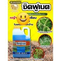 ราคา ซิดฟูเนต(กลูโฟซิเนต4ลิตร)ยาฆ่าหญ้า.เผาไหม้กึ่งดูดซึม (25401346478)