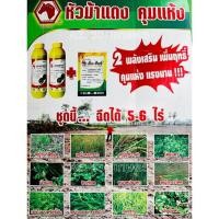 ราคา ชุดหัวม้าแดงคุมแห้ง ยาคุมหญ้า ยาเหลือง ยาคุมหญ้าในนาข้าว ยาคุมแห้งนาข้าว คุมนาน3เดือน พ่นได้ 5-6 ไร่ นาหว่านข้าวแห้ง (22938055570)