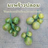 ราคา มะพร้าวปลอม มะพร้าวสีเขียวเทียม โมเดลมะพร้าว สําหรับตกแต่ง ร้านค้า หรือใช้เป็นพร๊อพถ่ายรูป (28605418666)