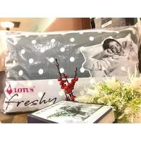 ราคา หมอนหนุนใยสังเคราะห์ LOTUS รุ่น Freshy ลายจุด (20050559051)