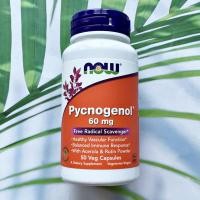 ราคา Pycnogenol สารสกัดจากเปลือกสนฝรั่งเศส 60mg 50 Veggie Caps (Now Foods®) (2021682544)