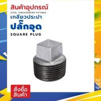ราคา MAXMAR ปลั๊กอุดเหล็ก เกลียวประปา เหล็กชุบกัลวาไนท์ แพ็คคู่ ขนาด 1-1/2 นิ้ว- 2นิ้ว เชื่อมต่อข้อต่อ ท่อประปา ด้วยเกลียว BS (24011097089)