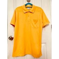 ราคา Pierre Cardin เสื้อโปโลผู้ชาย คอปก แขนสั้น สีเหลือง Size L (มือสอง) (24632086672)