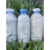 ราคา หน่อไม้ดอง 10฿ สด สะอาด จากสวน ไม่มีสารฟอกขาว ทำจากไผ่หวานเลี้ยงน้อง (11798018304)