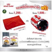 ราคา Premium Gift อุโมงค์แมว ของเล่นแมว ตรา Royal Canin (15937185416)