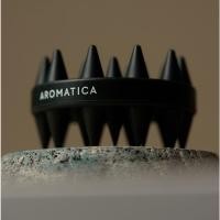 ราคา [AROMATICA] แปรงแชมพูดูแลหนังศีรษะคู่ shampoo brush (25719549299)