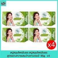 ราคา สบู่สมุนไพรอิงอร สูตรแตงกวาผสมว่างหางจรเข้ 85g. x4 (23082009589)