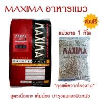 ราคา [ส่งฟรี] MAXIMA CAT MAINTENANCE 1 KG อาหารสำหรับแมว 1 กก. (18968331616)