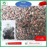 ราคา [พะยูงเวียดนาม] เมล็ดพันธุ์พะยูงเวียดนาม เมล็ดมาใหม่ เมล็ดพันธุ์ไม้ที่มีมูลค่าที่สุด (100 เมล็ด) (3533791166)