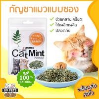 ราคา กัญชาแมว Catnip แคทนิปแมว ตำแยแมว แบบหลอด แบบซอง 5g 10g (6929026312)