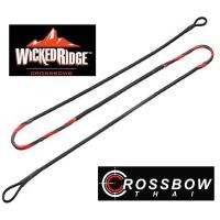 ราคา สายหน้าไม้ WICKED RIDGE Crossbow String By Tenpoint มีสินค้าพร้อมส่งพร้อมบริการTuning (15704457827)
