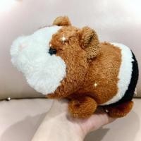 ราคา หนูตะเภาสามสี น้องน่ารักก้นถ่วง ป้ายงานGanzค่ะ (11591827281)