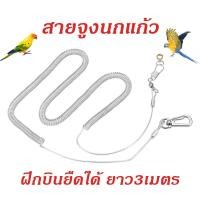 ราคา ห่วงขานก โซ่ขานก สายจูงนกแก้ว สายจูงนกแบบยืด เชือกนกแก้ว ฝึกบินยืดได้ ยาว3เมตร (26954856955)