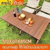 ราคา โต๊ะพับแคมป์ปิ้ง อุปกรณ์แคมป์ปิ้ง โต๊ะพับได้ Folding table โต๊ะปิคนิค 120x60x45cm (23988227442)