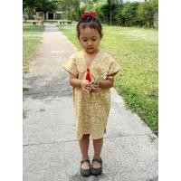 ราคา ชุดเด็กดอย เดรสกะเหรี่ยง ผ้าฝ้าย ผ้าพื้นเมืองล้านนา (8503372950)