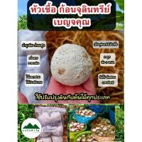ราคา พร้อมส่งหัวเชื้อจุลินทรีย์เบญจคุณ หัวเชื้อจุลินทรีย์สังเคราะห์แสง ช่วยเพิ่มธาตุอาหารในดิน บำรุงรากต้นใบหน่อผลดอก (10061135053)
