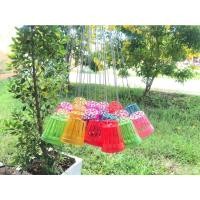 ราคา 50 ชิ้น ตะกร้าปลูก❗ ต้นเคราฤาษี หนวดฤาษี พร้อมลวดยาว 40 ซม. (ตะกร้าเปล่า) (20433556839)