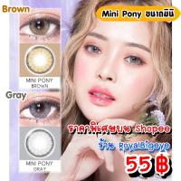 ราคา คอนแทคเลนส์ Mini Pony Gray / Brown - Pitchy Lens เลนส์ขนาดมินิ สีเทา/สีน้ำตาลสวยมาก (17191265943)