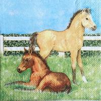 ราคา Pladao Napkin ภาพสัตว์ ม้าคู่ ในคอกม้า Horse Farm สัตว์ กระดาษ แนพกิ้น สำหรับงานศิลปะ เดคูพาจ decoupage ขนาด L 33x33 (29267939755)