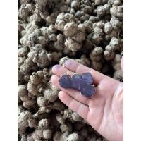 ราคา กระชายดำพร้อมส่ง1กิโล (12469745033)