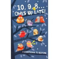 ราคา BBW หนังสือ 10, 9, 8... Owls Up Late! ISBN: 9781848697041 (11647642776)